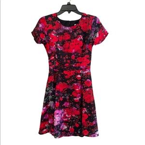 BB Dakota Pink Red Black Floral Dress Mini Short Sleeve 4